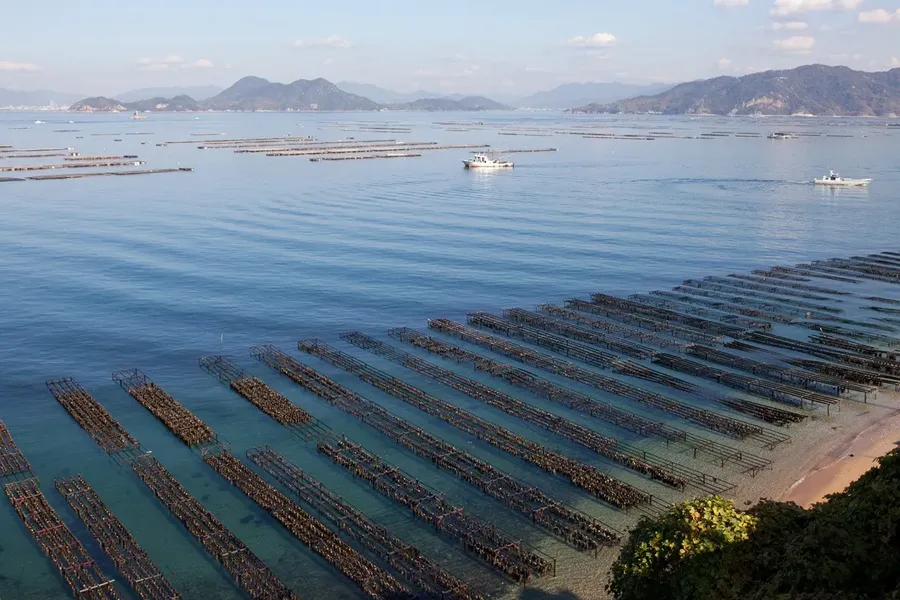 新鮮な海の幸・山の幸